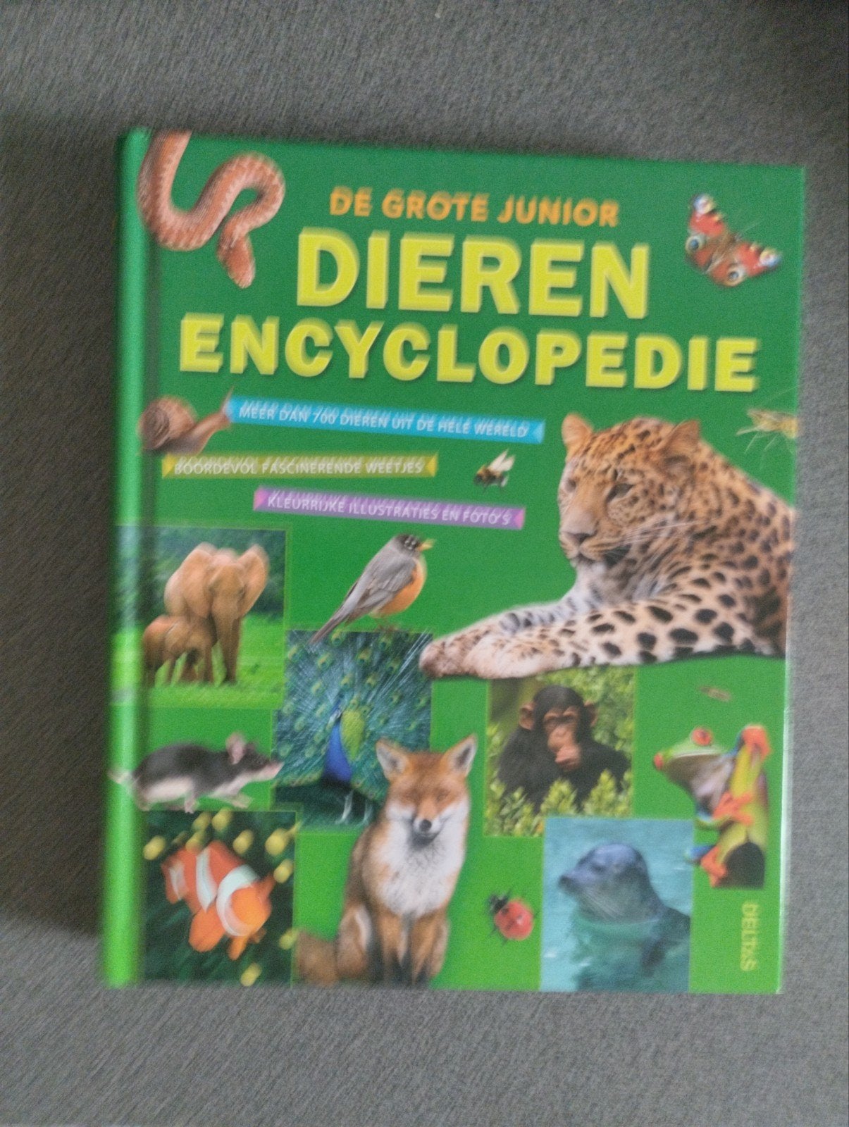 De Grote Junior Dierenencyclopedie - Meer dan 700 Dieren, Boeken, Onbekend, Ophalen of Verzenden, Zo goed als nieuw, Los deel