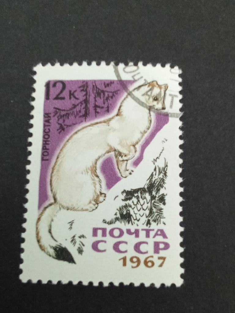 Rusland 105 - Hermelijn 1967, Verzenden, Gestempeld