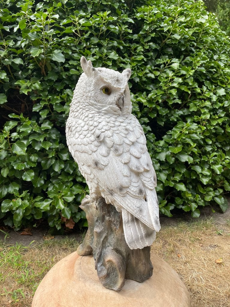 Beeld witte sneeuw uil, tuin, gazon, dierentuin 55cm, Tuin en Terras, Tuinbeelden, Ophalen, Nieuw, Kunststof, Dierenbeeld