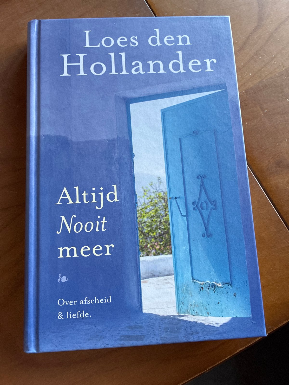 Altijd Nooit Meer - Loes den Hollander, Ophalen of Verzenden, Zo goed als nieuw, Nederland