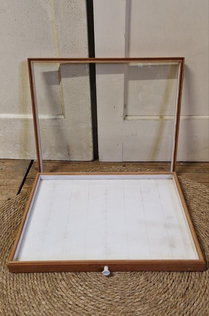 vintage opbergkastje/insectendoos, Ophalen, Huis en Inrichting