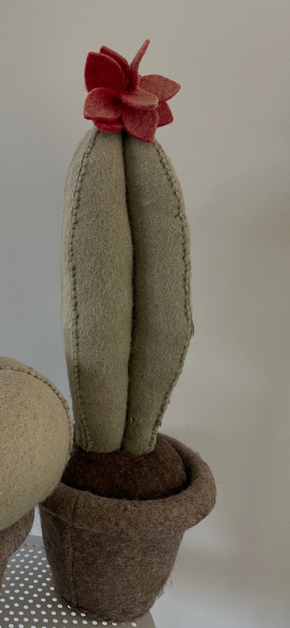 Decoratieve cactus van wolvilt met bloem kidsdepot, Meerkleurig, Overige stijlen, Nieuw, Ophalen of Verzenden
