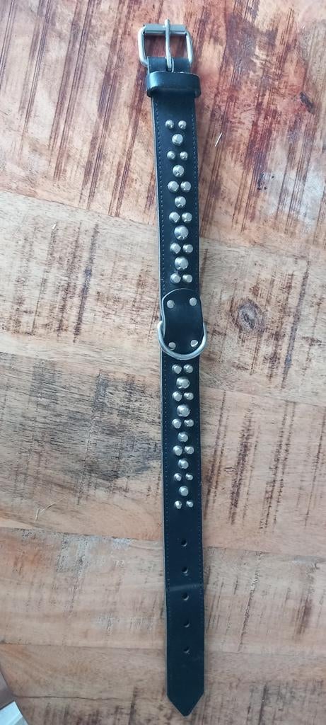 Halsband, Ophalen of Verzenden, Nieuw