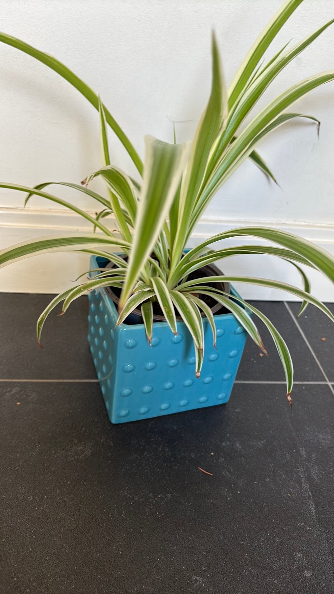 Mooie turquoise pot, Rond, Ophalen of Verzenden, Zo goed als nieuw, Minder dan 25 cm