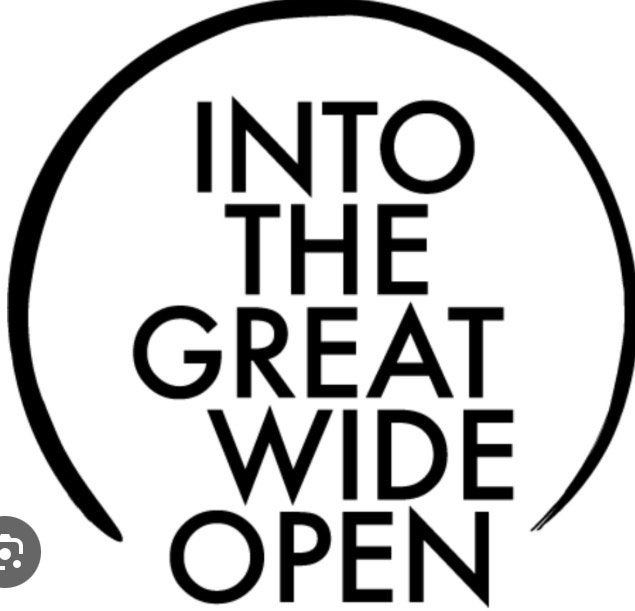ITGWO ticket gezocht! Into The Great Wide Open, Tickets en Kaartjes, Evenementen en Festivals, Eén persoon