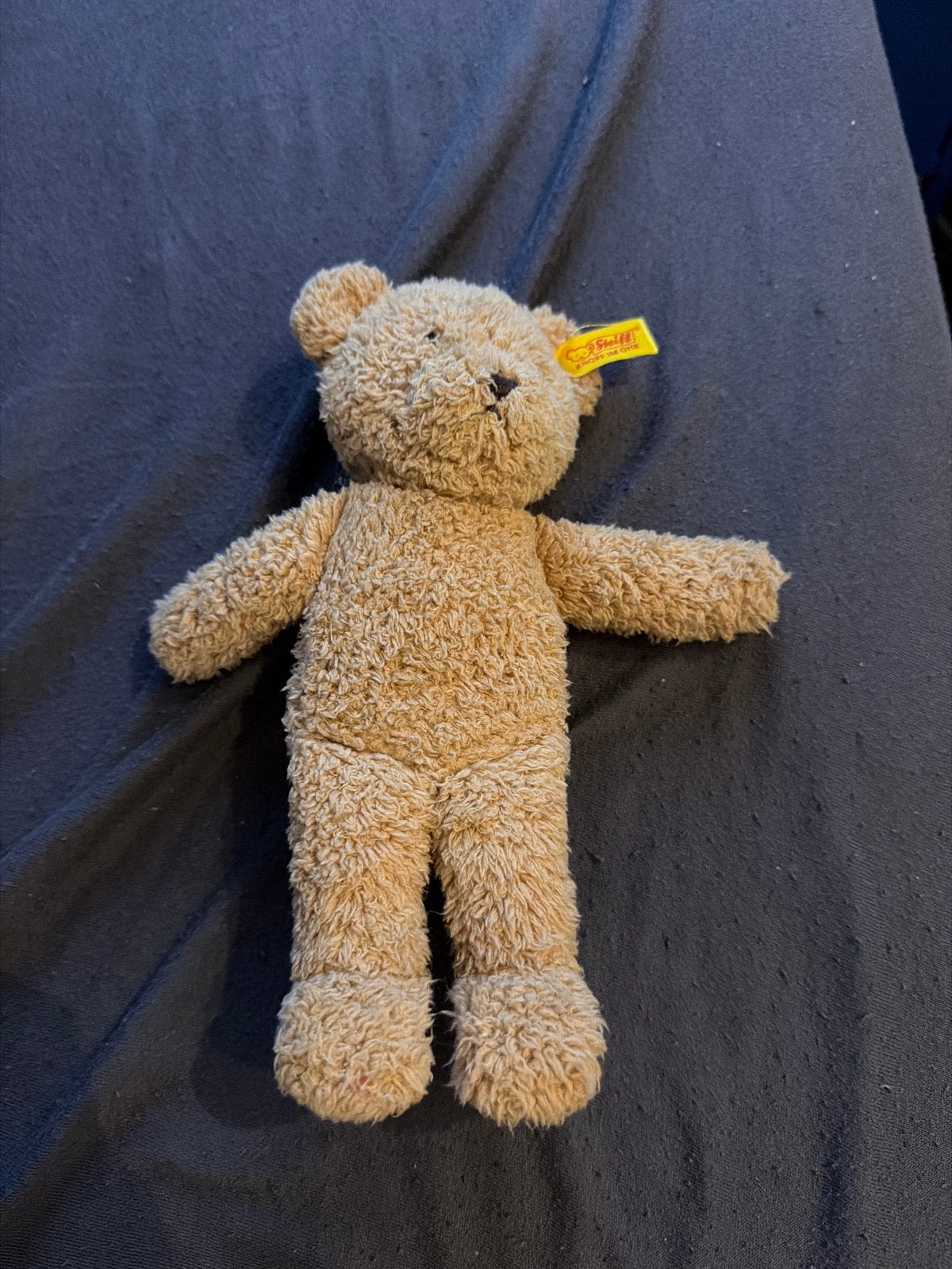 Steiff beertje - Knuffelbeer met 'Knopf im Ohr' label, Ophalen of Verzenden, Zo goed als nieuw