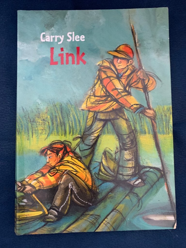 Link Carry Slee, Ophalen of Verzenden, Zo goed als nieuw, Carry Slee, Non-fictie