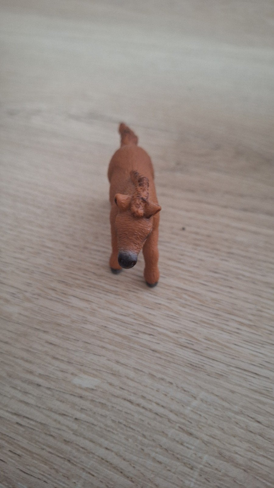 Schleich set, Ophalen of Verzenden, Zo goed als nieuw