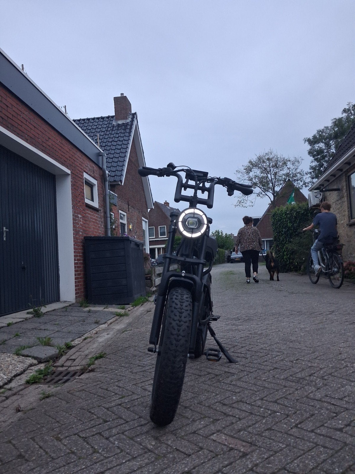 Foto 4 van fatbike v20
