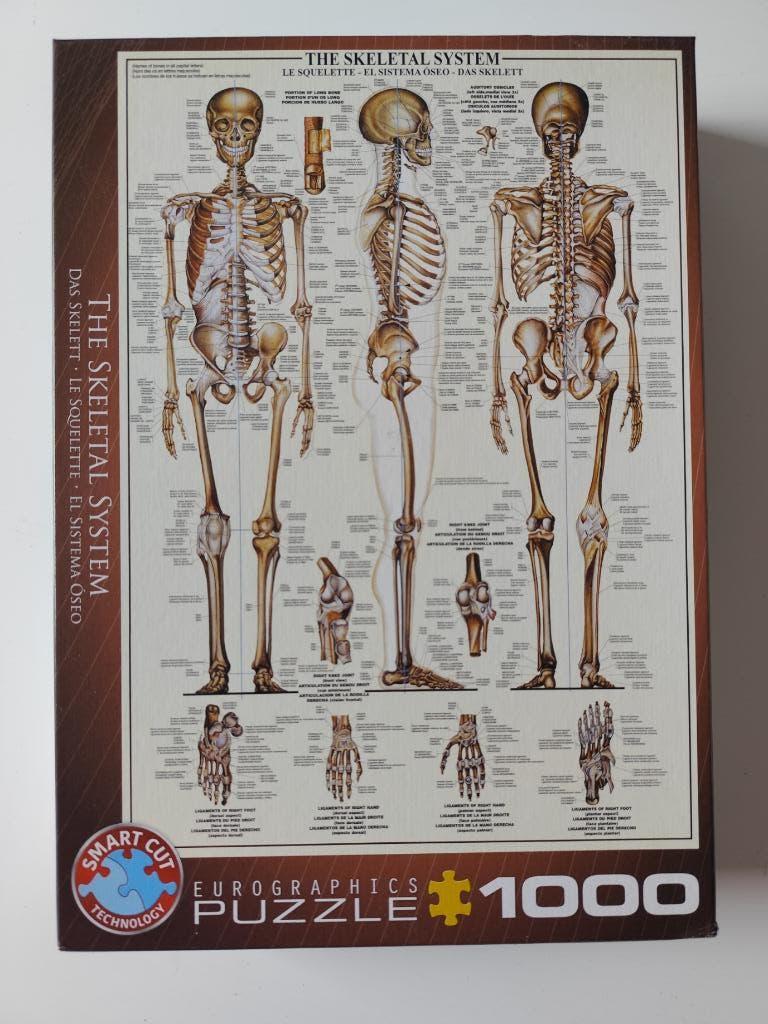 Legpuzzel skelet, Ophalen of Verzenden, 500 t/m 1500 stukjes, Zo goed als nieuw, Legpuzzel