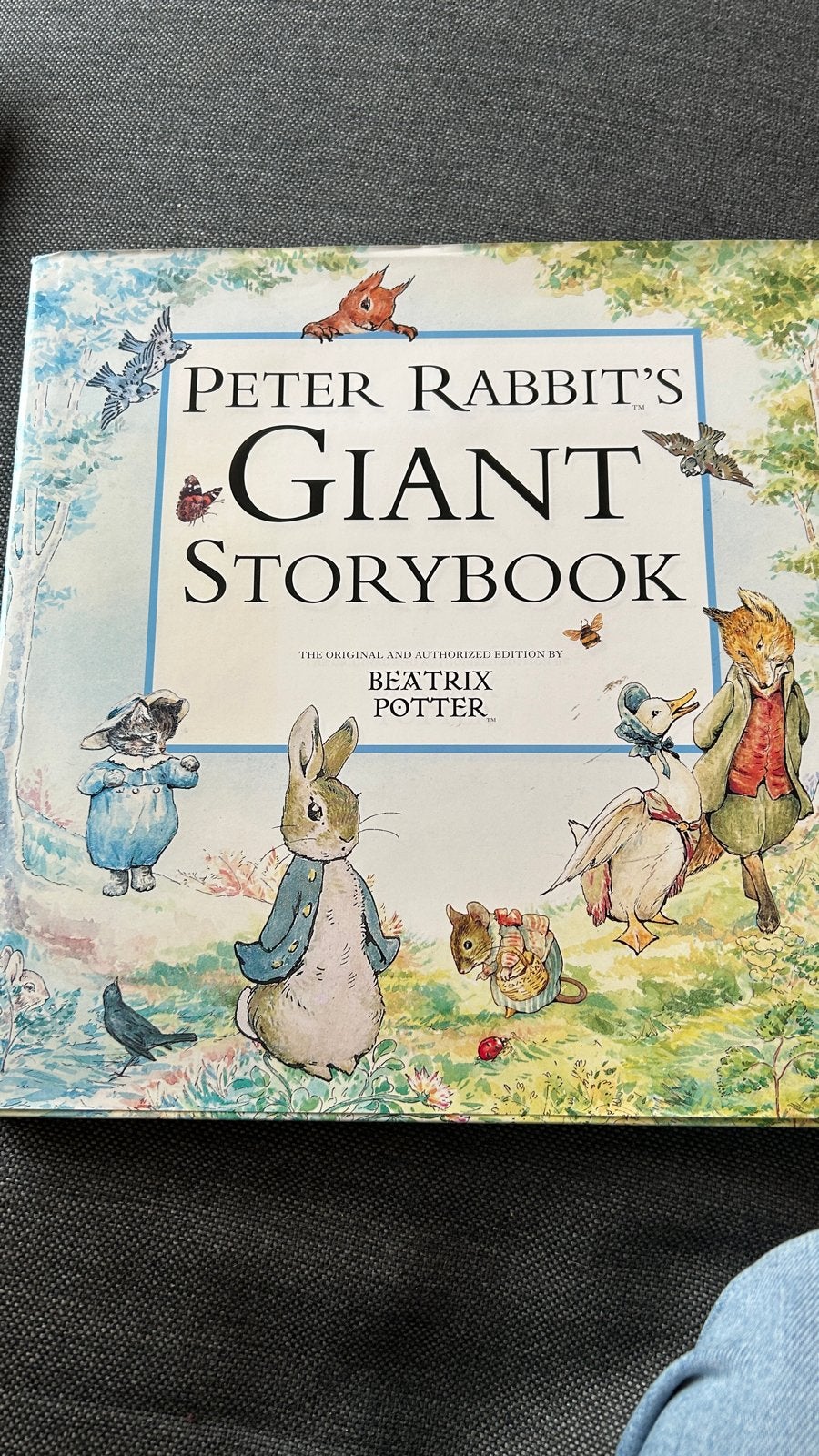 Peter Rabbit's Giant Storybook - Beatrix Potter, Ophalen of Verzenden, Gelezen, Sprookjes