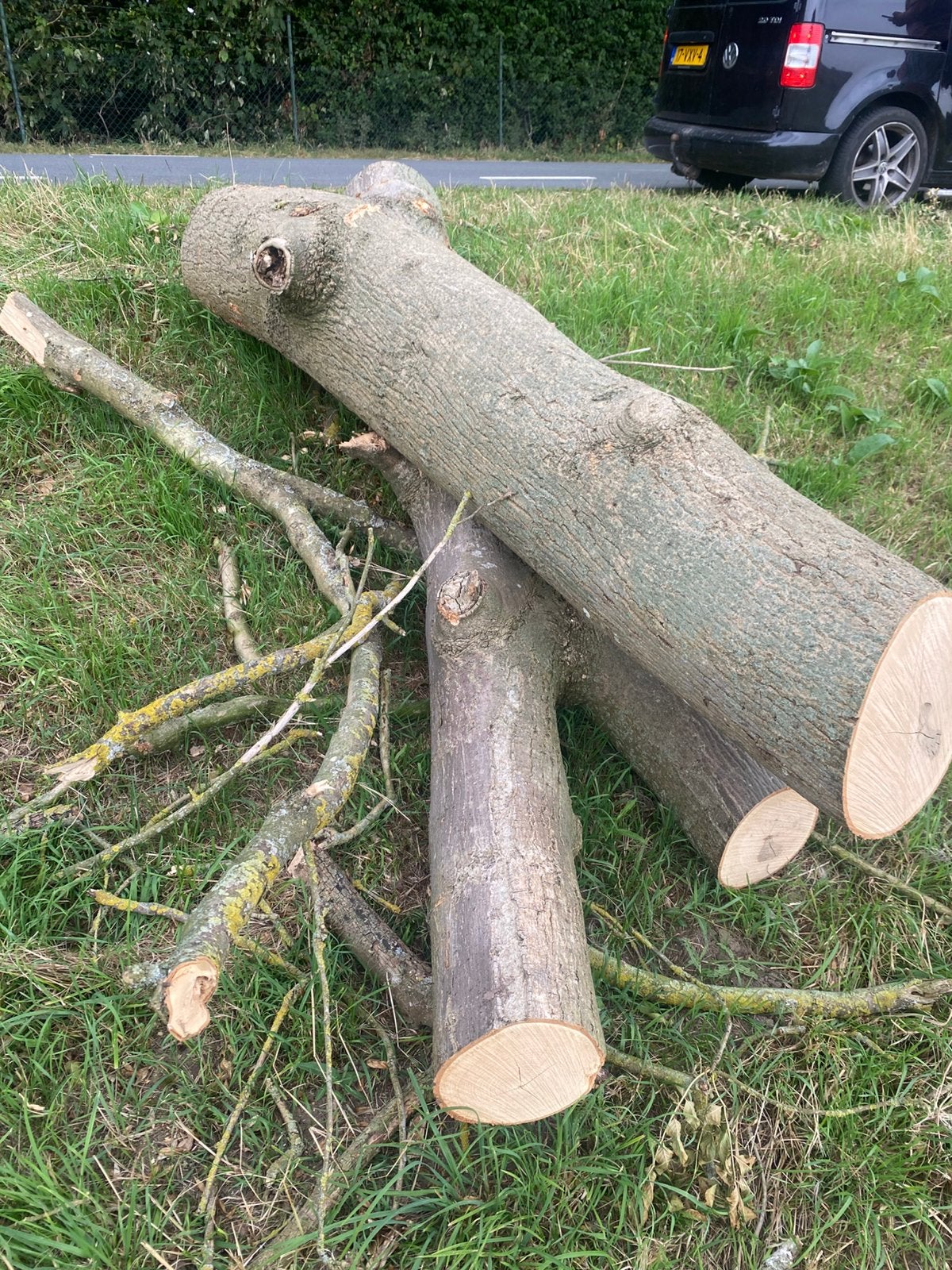 Haardhout brand hout stammen, Minder dan 3 m³, Ophalen
