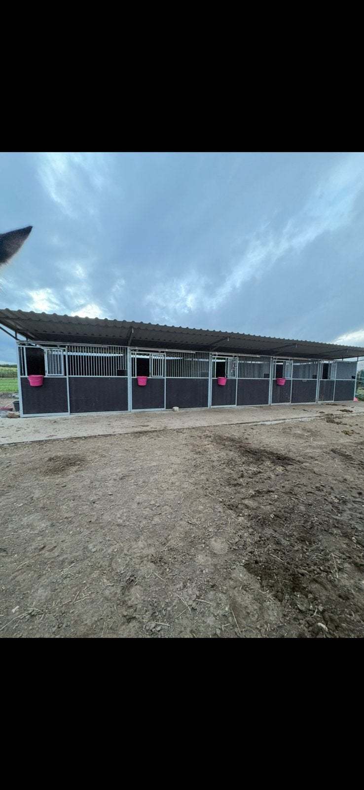 Kleinschalige paddock paradise maaseik(opoeteren), Dieren en Toebehoren, Stalling