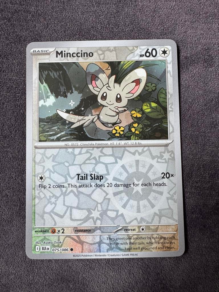 Minccino Pokémon Kaart 075/086 - Nieuwstaat, Ophalen of Verzenden, Nieuw, Losse kaart
