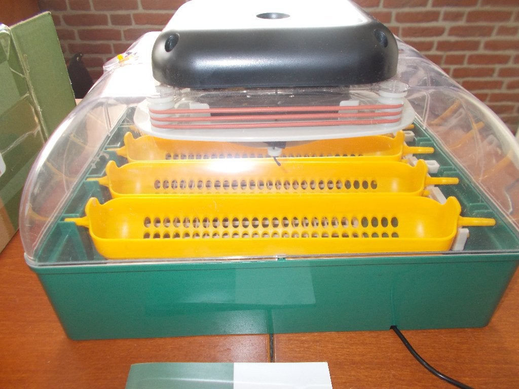Broedmachine MS vol automatische 24 eieren, Ophalen, Nieuw
