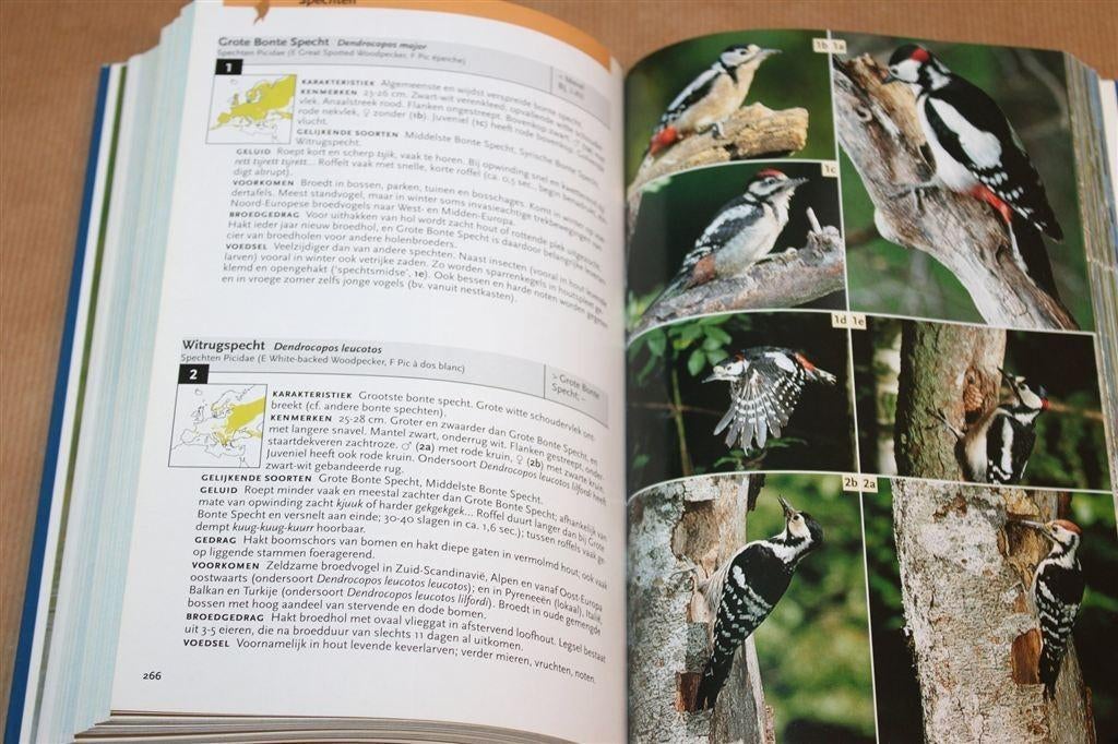 Welke Vogel Is Dat? — Veldgids Vogels Van Europa, Boeken, Ophalen of Verzenden, Zo goed als nieuw, Vogels