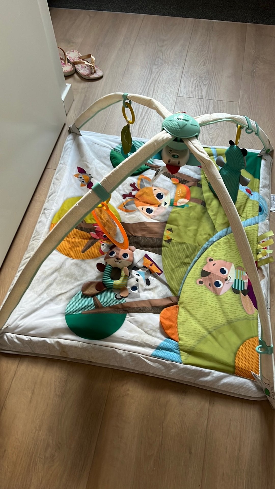 Speelkleed TinyLove, Ophalen, Zo goed als nieuw