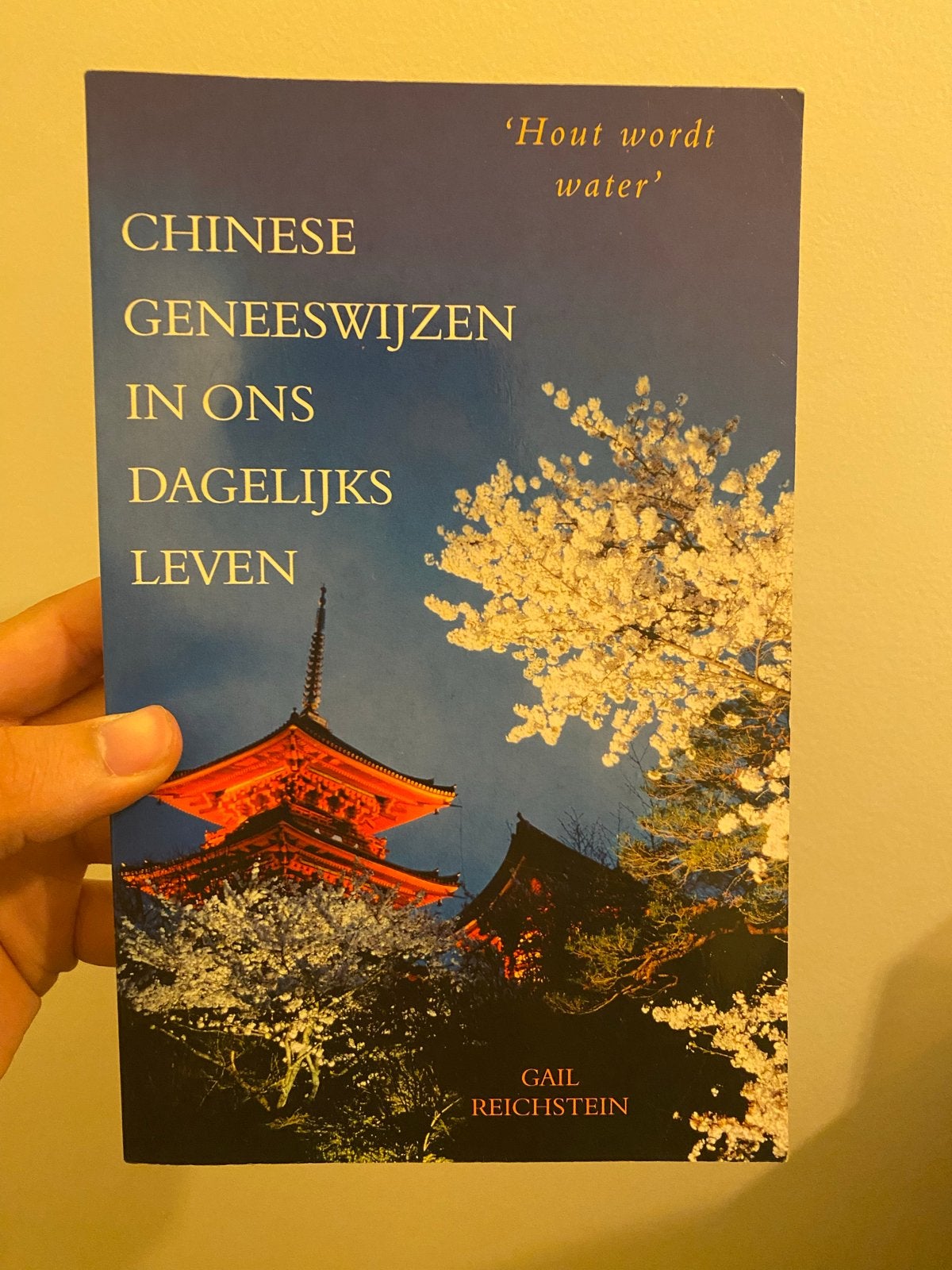 Chinese Geneeswijzen in ons Dagelijks Leven - Gail Reichstei, Boeken, Ophalen of Verzenden, Zo goed als nieuw, Kruiden en Alternatief