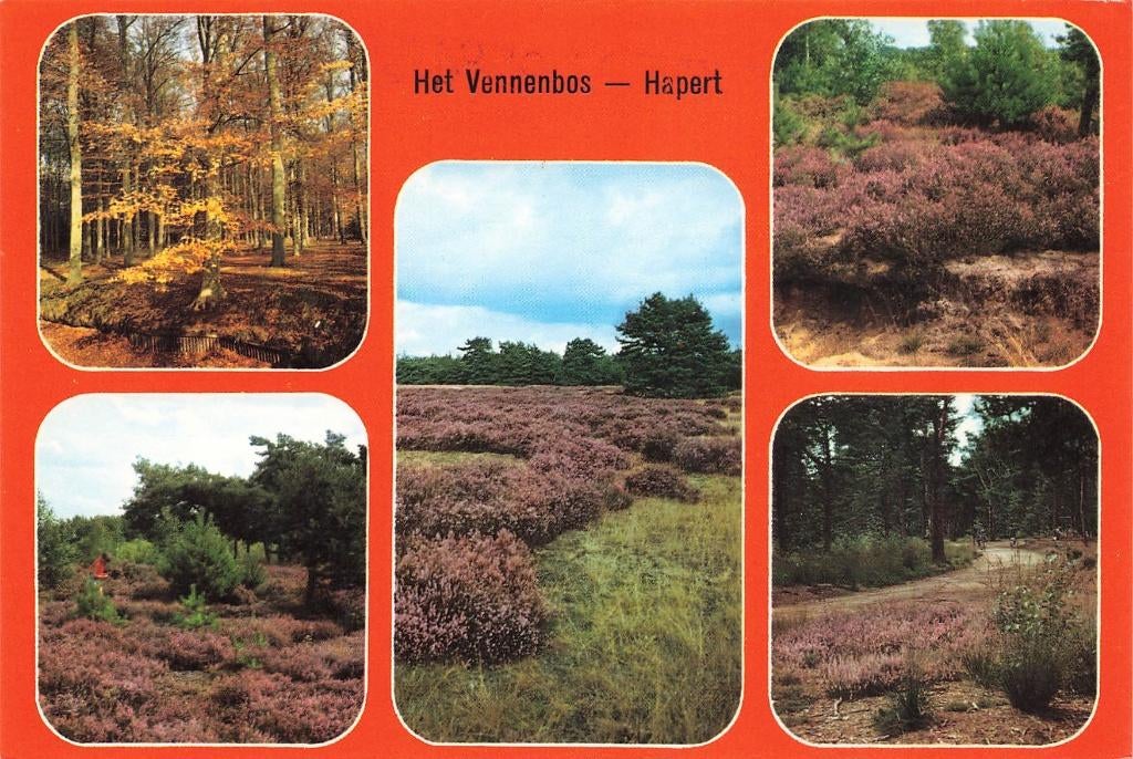 Het Vennenbos, Hapert, Ophalen of Verzenden, 1980 tot heden, Gelopen, Noord-Brabant