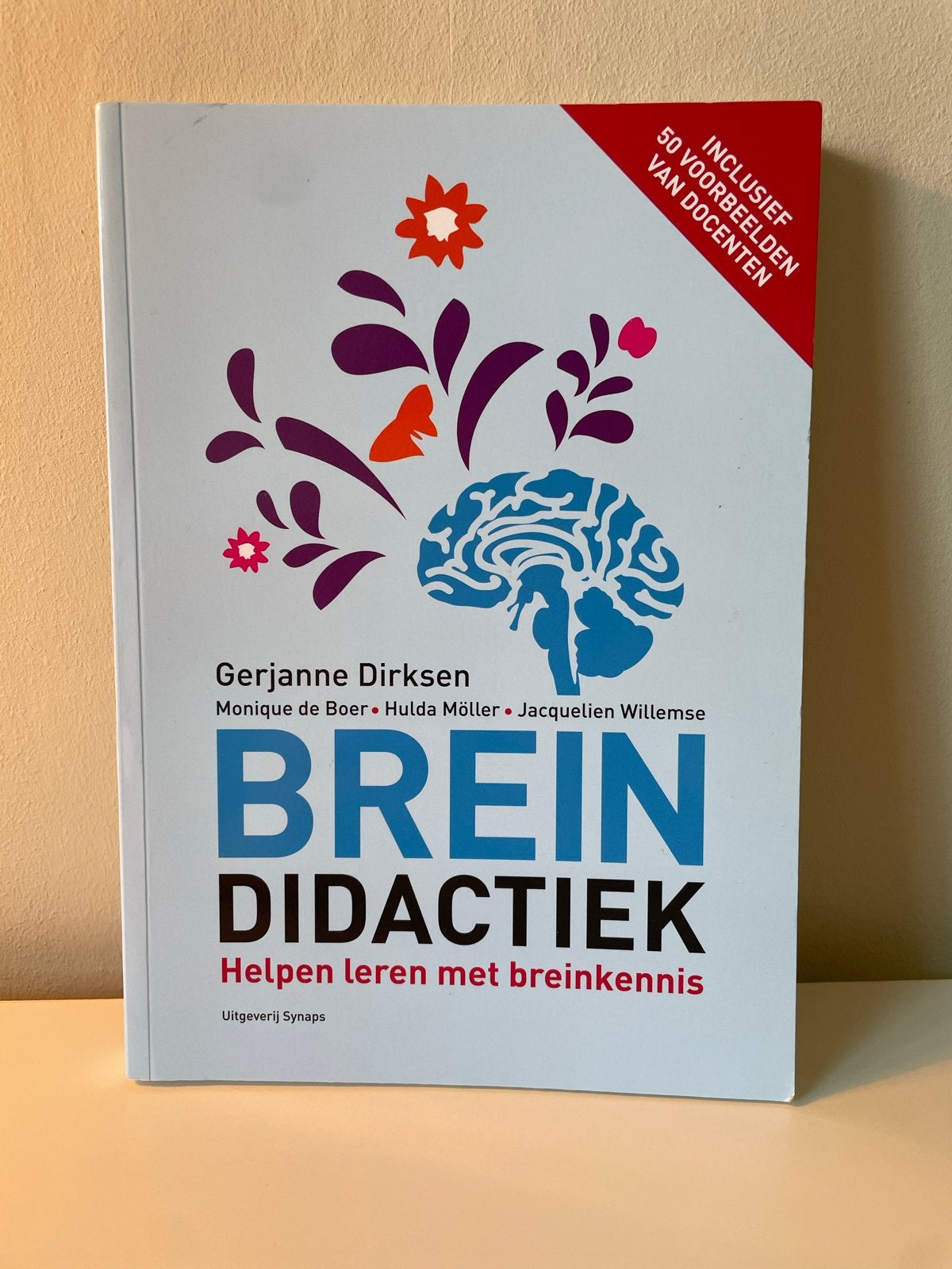 Breindidactiek (helpen leren met breinkennis), Ophalen of Verzenden, Gamma, Zo goed als nieuw, HBO