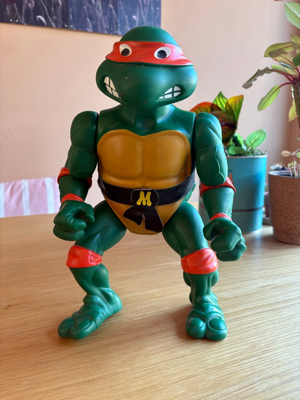 Teenage Mutant Ninja Turtles - Michelangelo, Ophalen of Verzenden, Gebruikt
