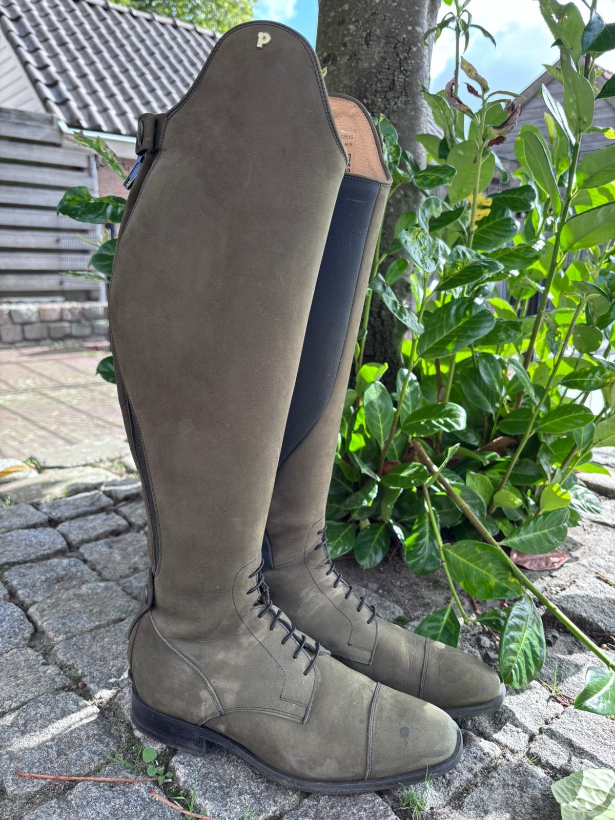 Paardrijlaarzen Petrie Napoli Nubuck Olive, Dieren en Toebehoren, Ritssluiting, Dressuur, Ophalen of Verzenden, Zo goed als nieuw