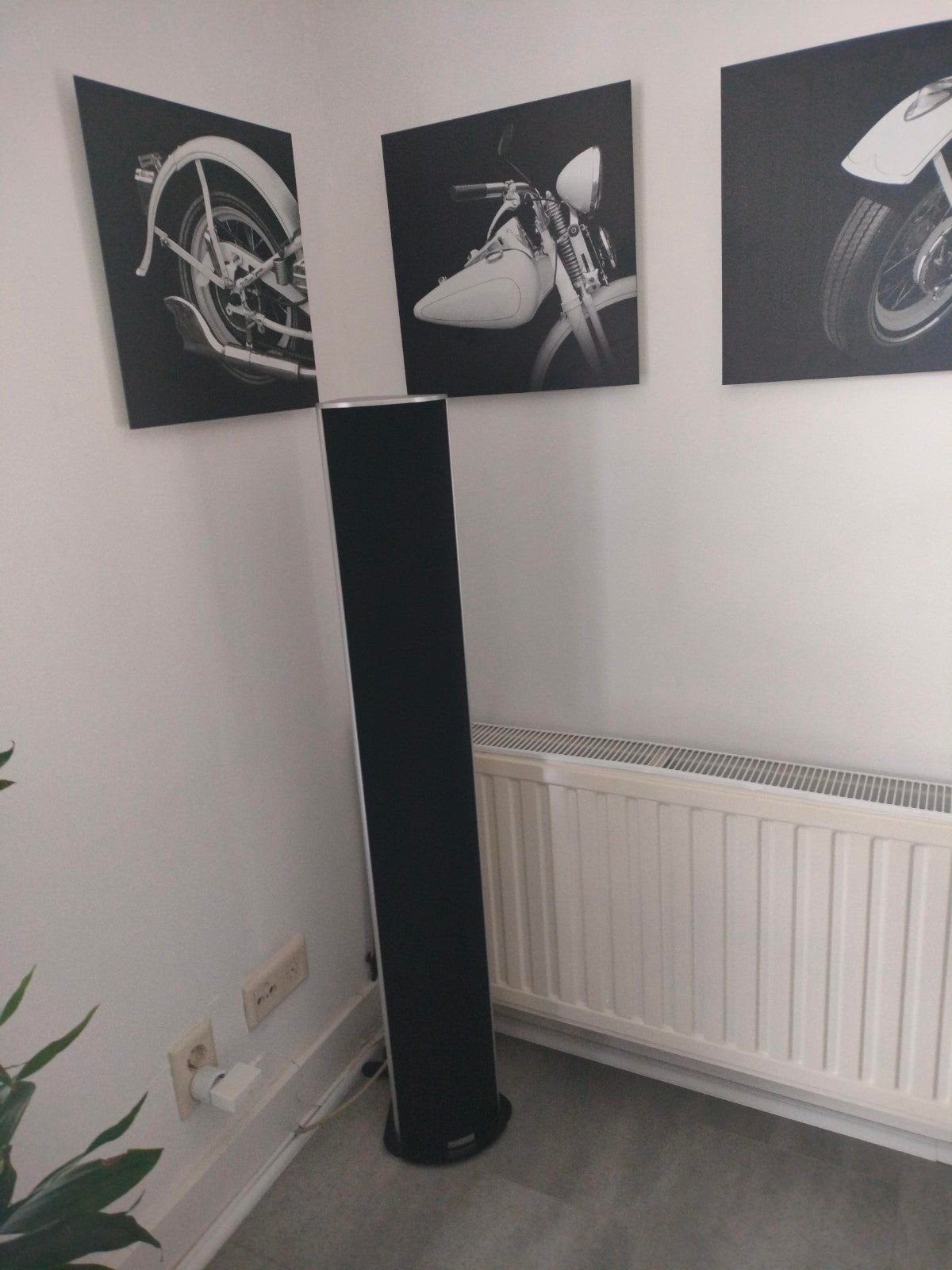 Piega speakers  P4XL met de ldr tweeters