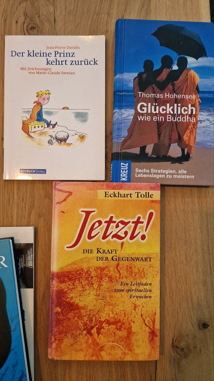 Diverse boeken: Geschiedenis, filosofie, spiritualiteit, Ophalen of Verzenden, Gelezen, Diverse auteurs, Europa overig