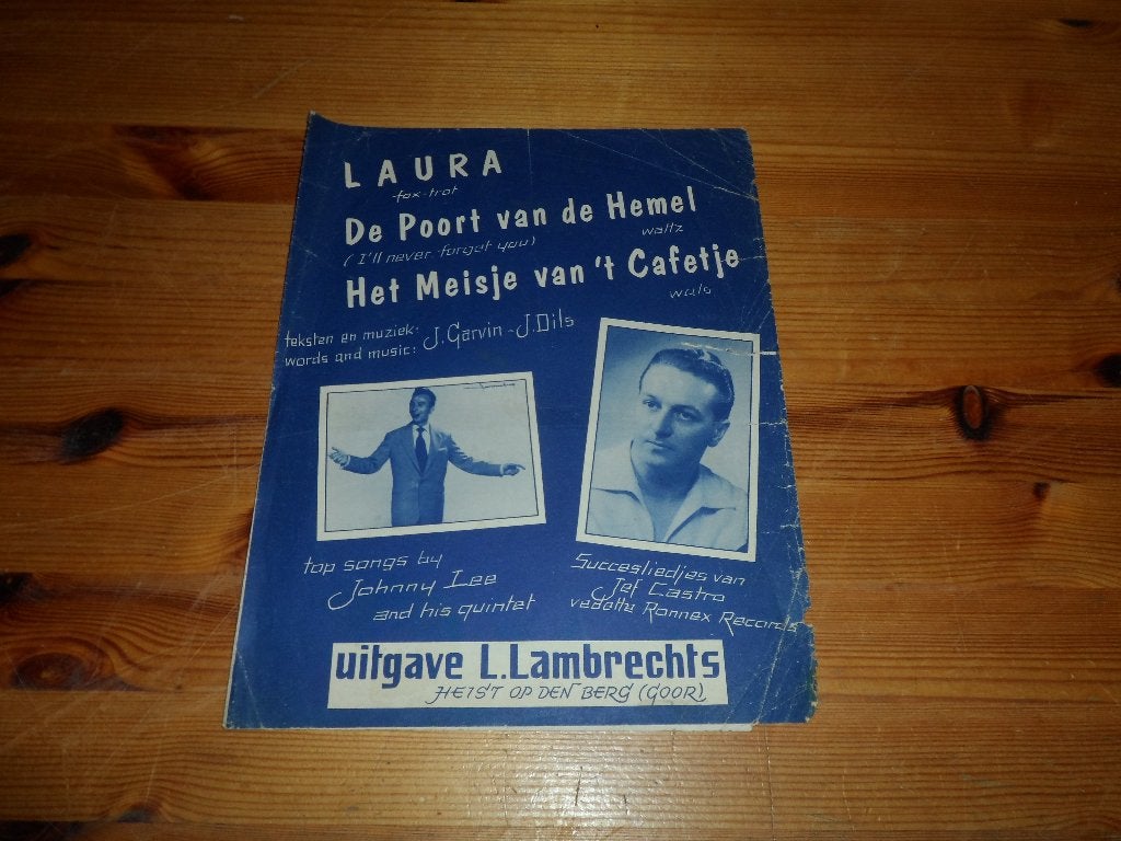 Garvin / dils - johnny lee / jef castra, Gebruikt, Gitaar, Ophalen of Verzenden, Artiest of Componist