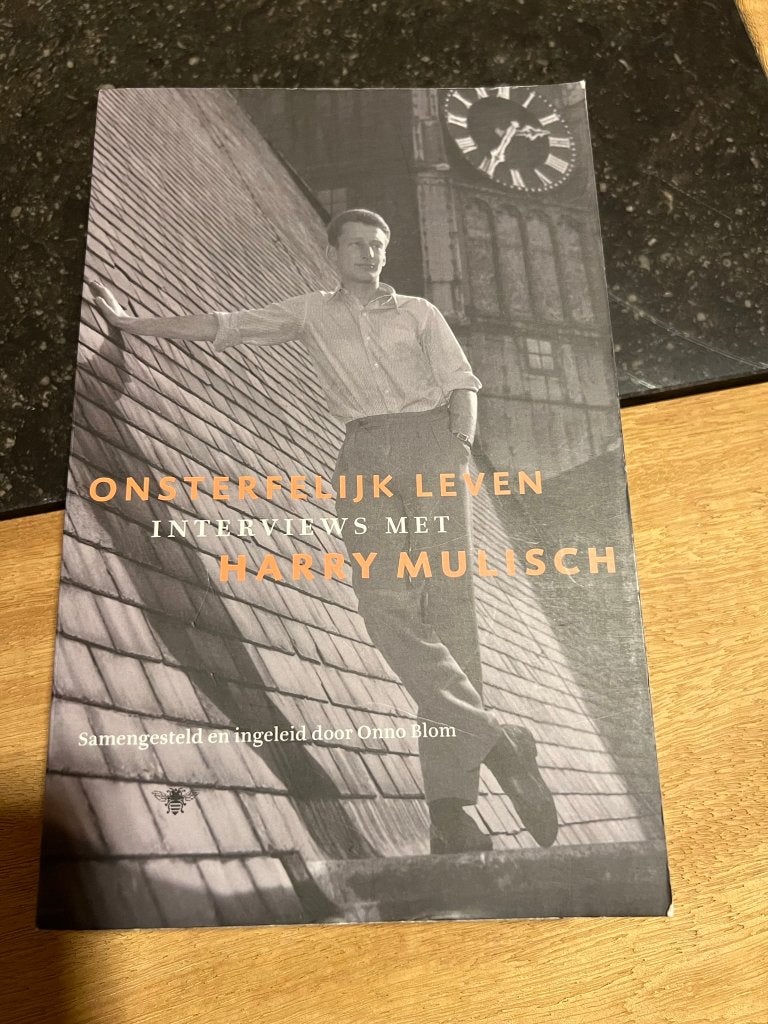 Niks geniaal vandaag, de briefwisseling tussen Karel v d Woe, Kunst en Cultuur, Ophalen of Verzenden, Zo goed als nieuw, Bert van Raemdonck