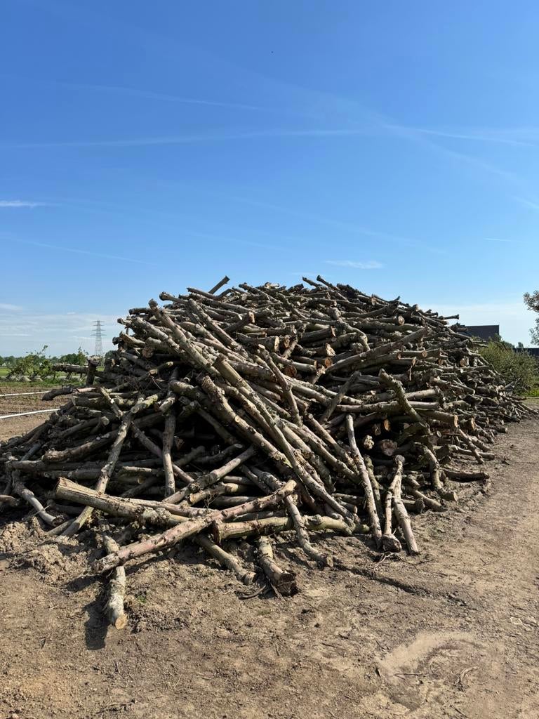 2 vrachten appelhout stammen te koop!, Tuin en Terras, Haardhout, 6 m³ of meer, Ophalen, Overige houtsoorten, Stammen