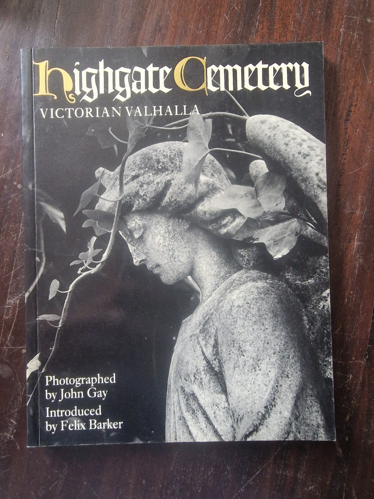 Highgate Cemetery: Victoriaans Valhalla - Fotoboek John Gay, Ophalen of Verzenden, Gelezen, Fotografie algemeen, John Gay