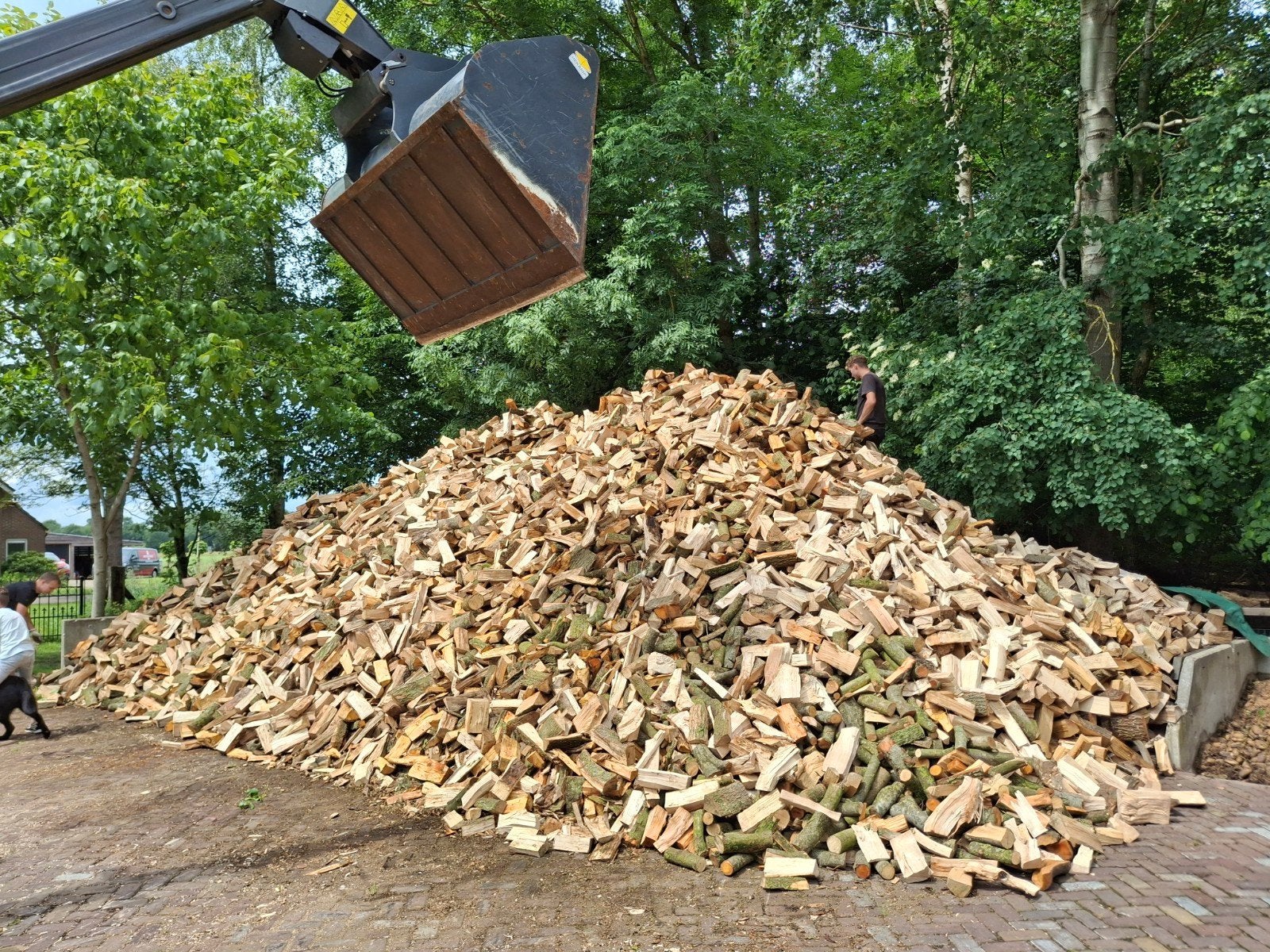 gekloofd gemengd droog brandhout, haardhout, kachel hout, Tuin en Terras, 6 m³ of meer, Ophalen, Blokken