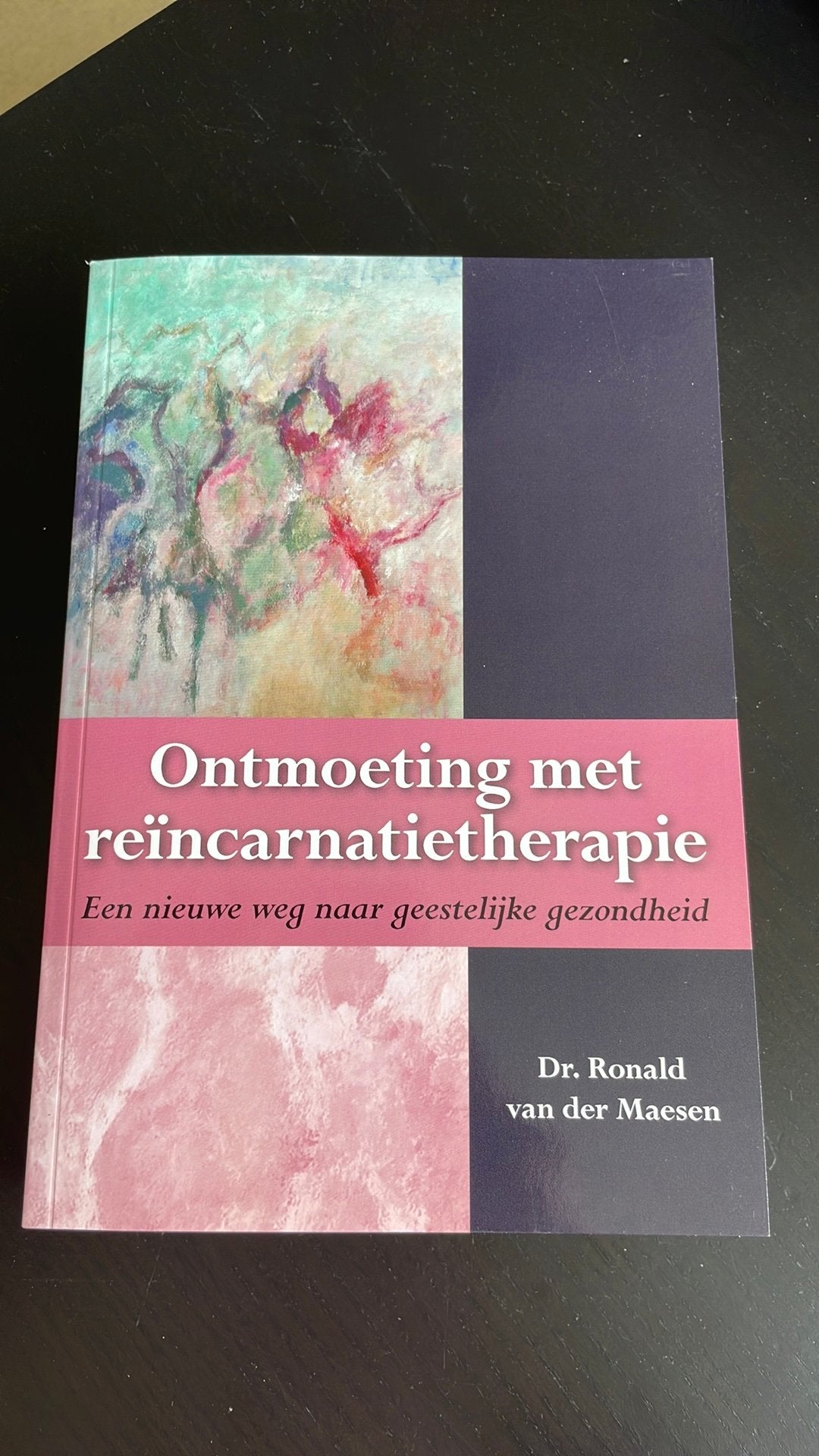 Ronald van der Maesen - Ontmoeting met reïncarnatietherapie, Boeken, Sociale wetenschap, Ophalen of Verzenden, Zo goed als nieuw