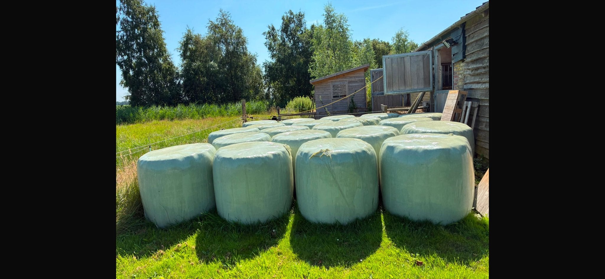 25 midibalen 1e snede droog hooi, Ophalen, Vee