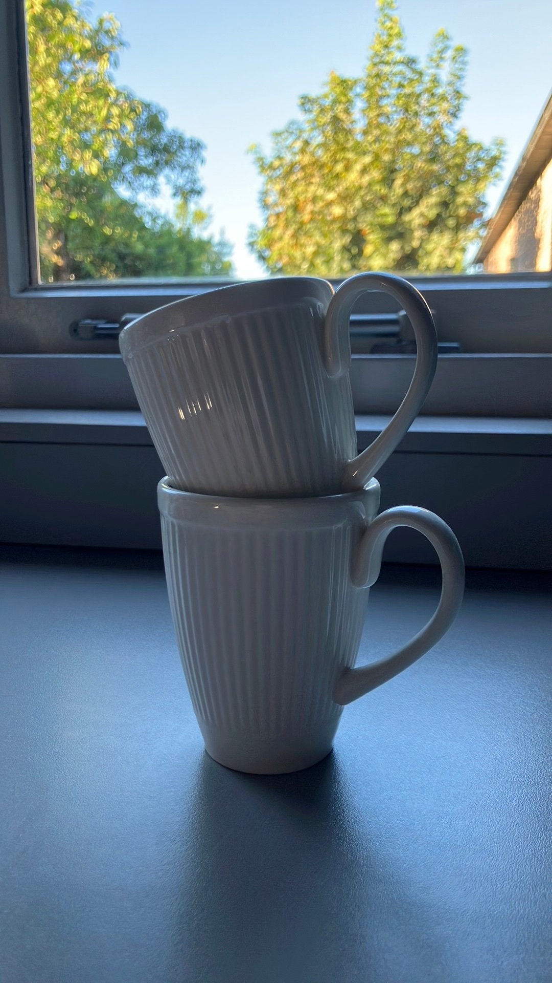 Wedwood kopjes 150 ml, Huis en Inrichting, Keuken | Servies, Ophalen, Zo goed als nieuw, Porselein, Kop(pen) en/of Schotel(s)