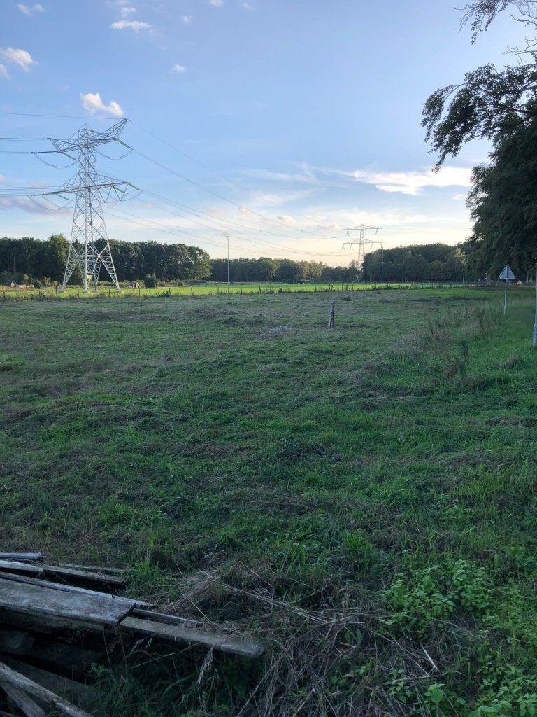 Perceel grond aan de Napoleonsweg in Haelen, Haelen, 1500 m² of meer