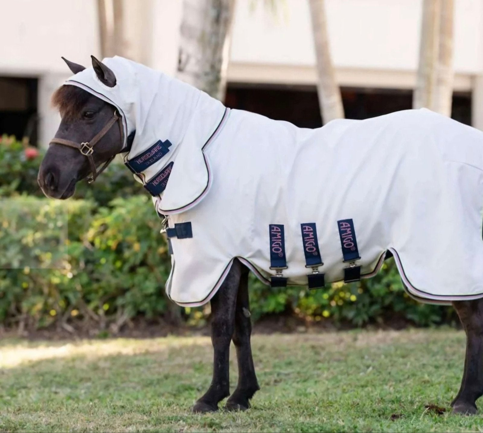 Amigo petite fly rug hoodie 80cm, Dieren en Toebehoren, Paarden en Pony's | Beschermers, Ophalen of Verzenden, Zo goed als nieuw