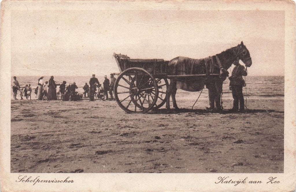 703-475-041 Schelpenvisscher Katwijk aan Zee, Ophalen of Verzenden, Voor 1920, Zuid-Holland