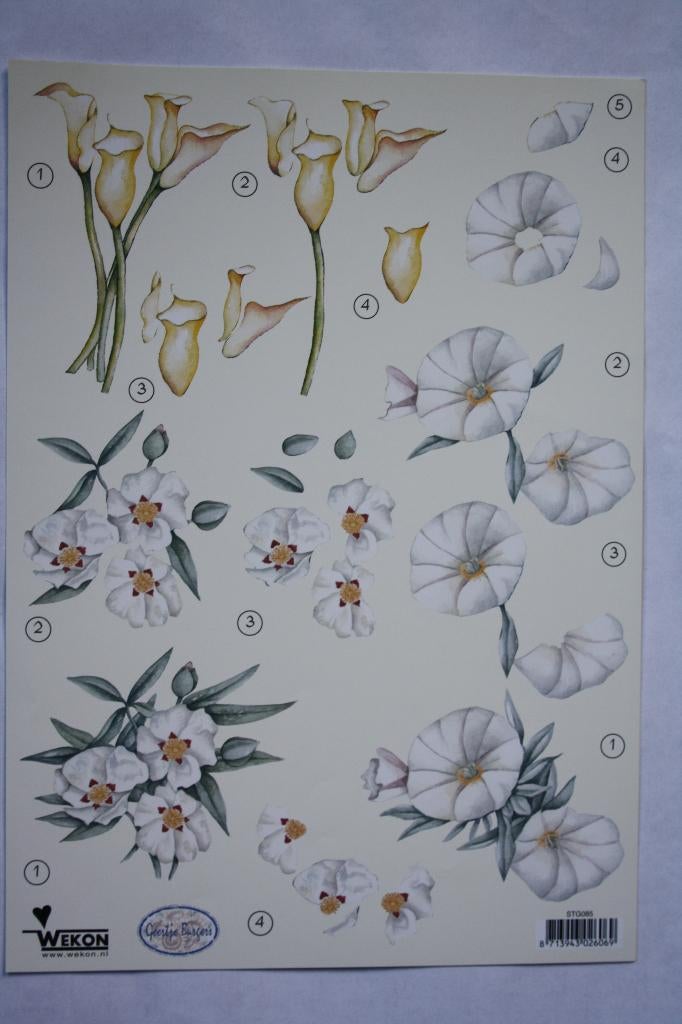 2 stuks knipvellen 3D bloemen 7296, Ophalen of Verzenden, Nieuw, Natuur, Knipvel
