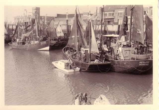 Vervoer-Beroepen-Foto-O-132   Repro-Ganaal vissrs  Zeebrugge, 1980 tot heden, Foto, Nieuw, Ophalen of Verzenden