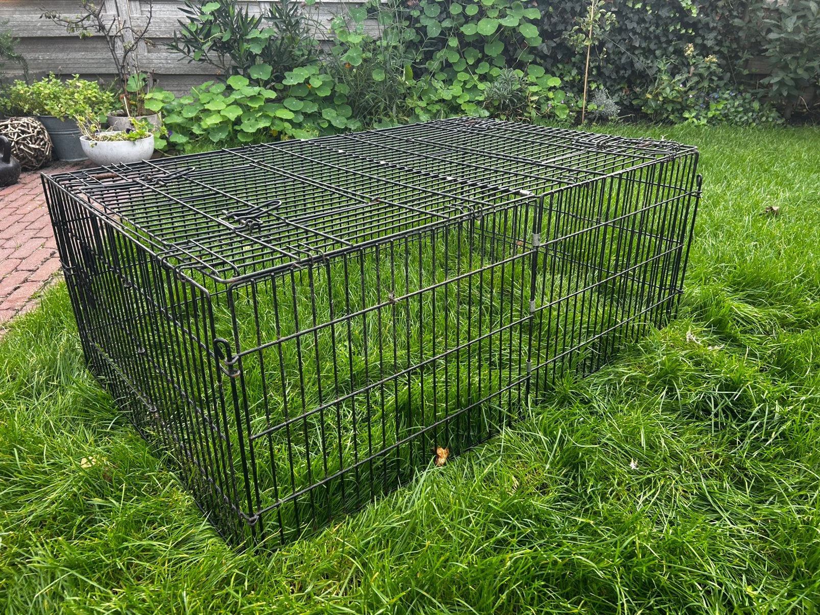 Metalen binnen- of buitenren kleine dieren, Ren, Cavia, Ophalen, Minder dan 60 cm