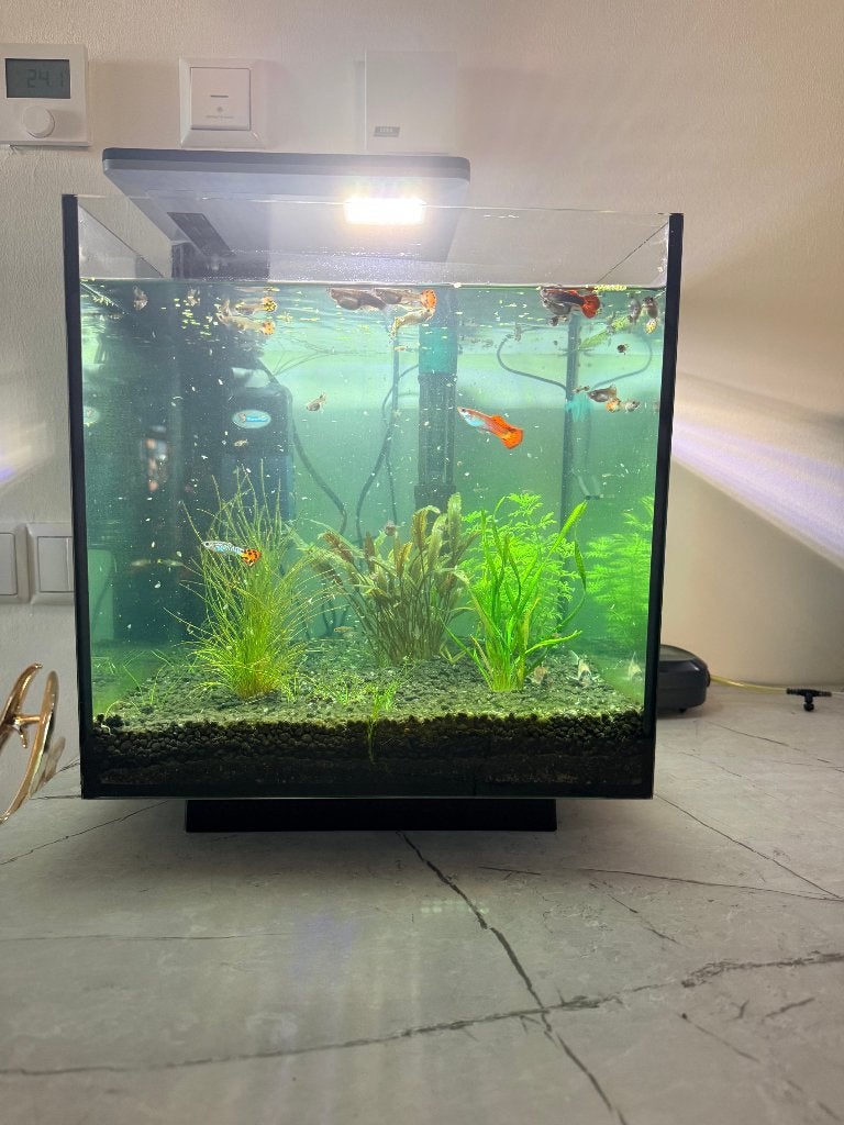 Superfish Qubiq 30 pro zwart, Dieren en Toebehoren, Vissen | Aquaria en Toebehoren, Ophalen, Zo goed als nieuw, Leeg aquarium