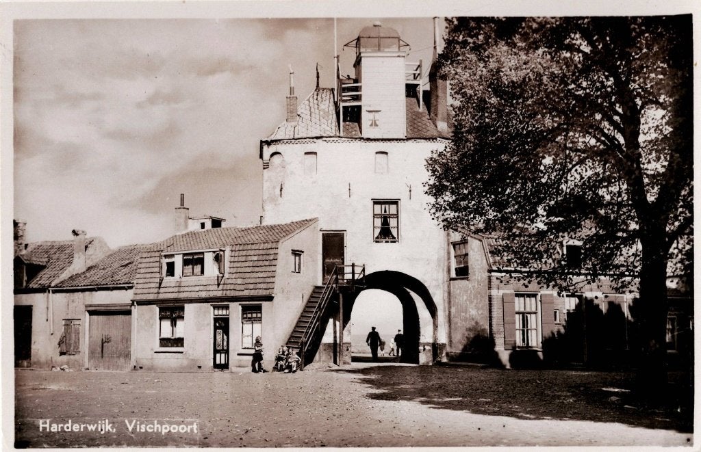 Harderwijk – Vischpoort., Ophalen of Verzenden, 1940 tot 1960, Ongelopen, Gelderland