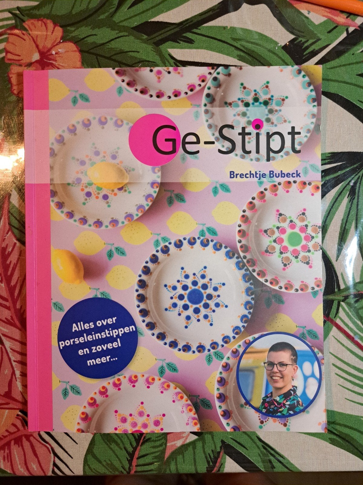 Ge-Stipt / Brechtje Bubeck, Ophalen of Verzenden, Zo goed als nieuw, Overige onderwerpen, Brechtje Bubeck