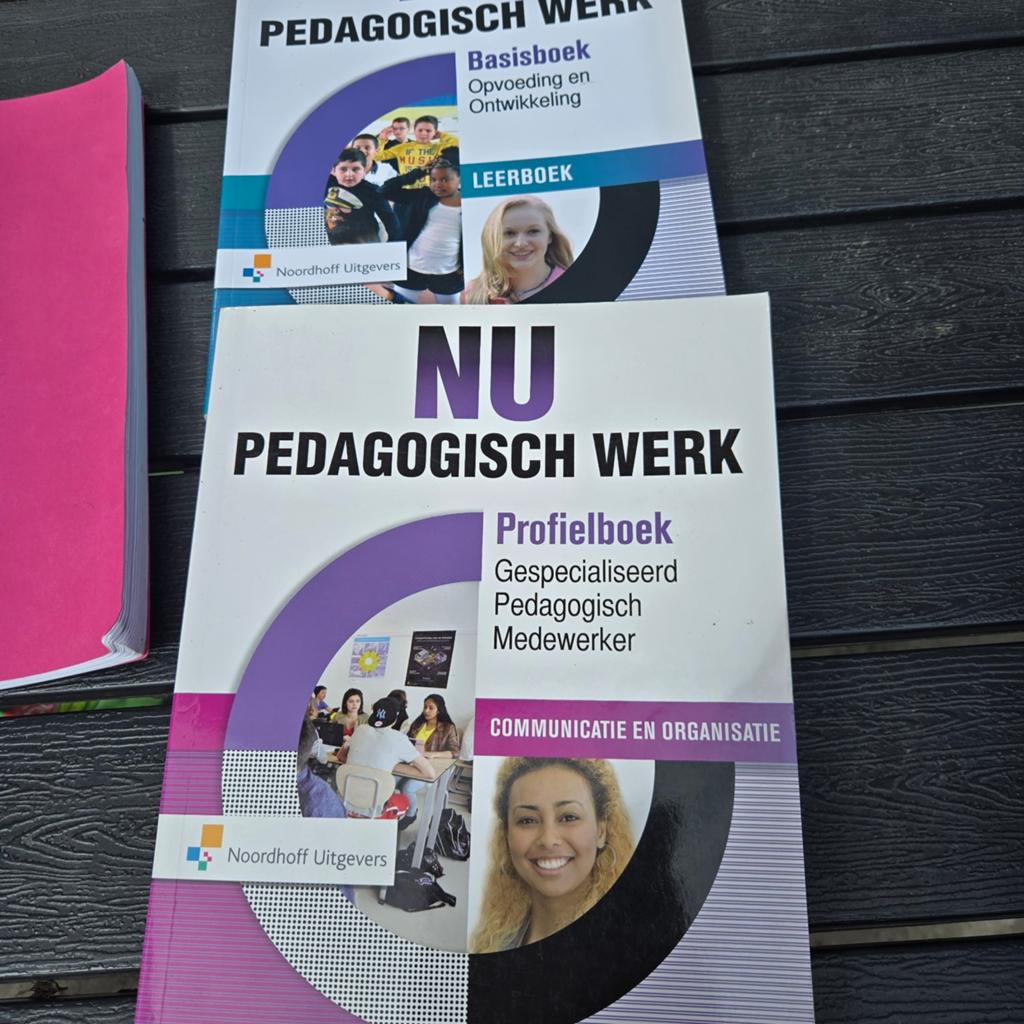 NU Pedagogisch Werk: Basisboek & Profielboek (MBO), Boeken, Ophalen of Verzenden, Zo goed als nieuw, MBO, Noordhoff Uitgevers