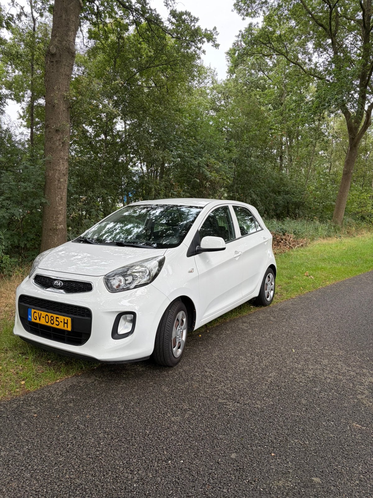 Kia Picanto 1.0 5-DRS 2015 Wit Nieuwe APK, Auto's, Stof, Wit, Origineel Nederlands, 24 km/l