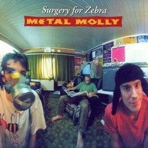 metal molly  surgery for zebra, Ophalen of Verzenden, Zo goed als nieuw, Poprock