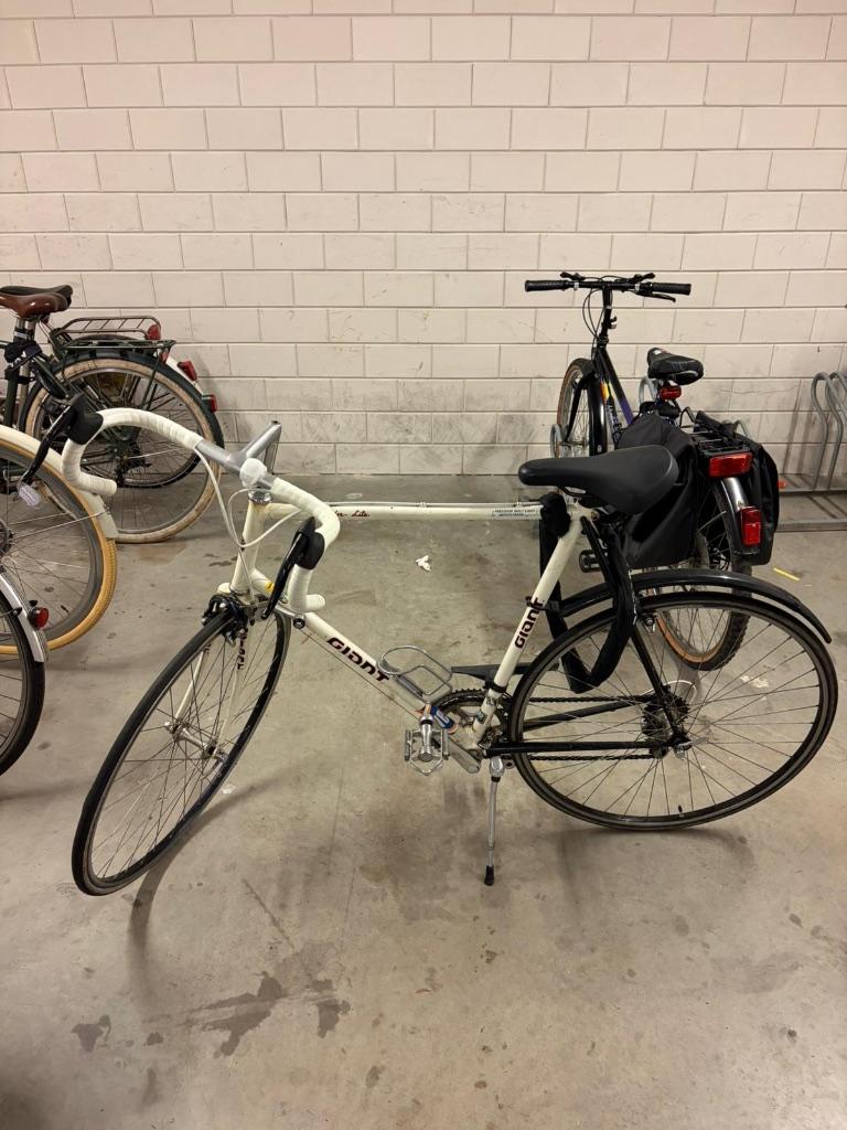 Giant Speeder Lite, Gebruikt, Aluminium, Meer dan 20 versnellingen, Giant
