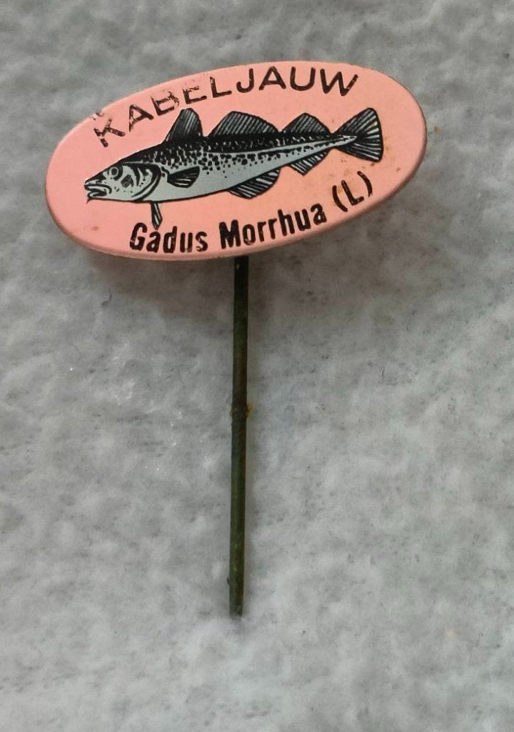 Speldje Kabeljauw, Ophalen of Verzenden, Zo goed als nieuw, Dier of Natuur, Speldje of Pin